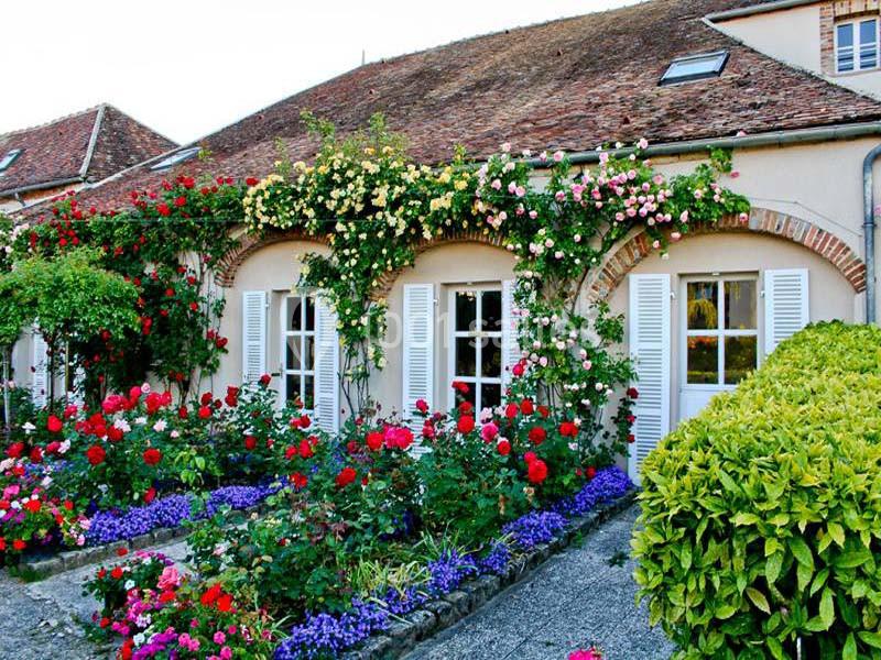 Façade de maison avec volets blancs, ornée de rosiers grimpants et entourée de massifs de fleurs colorées.