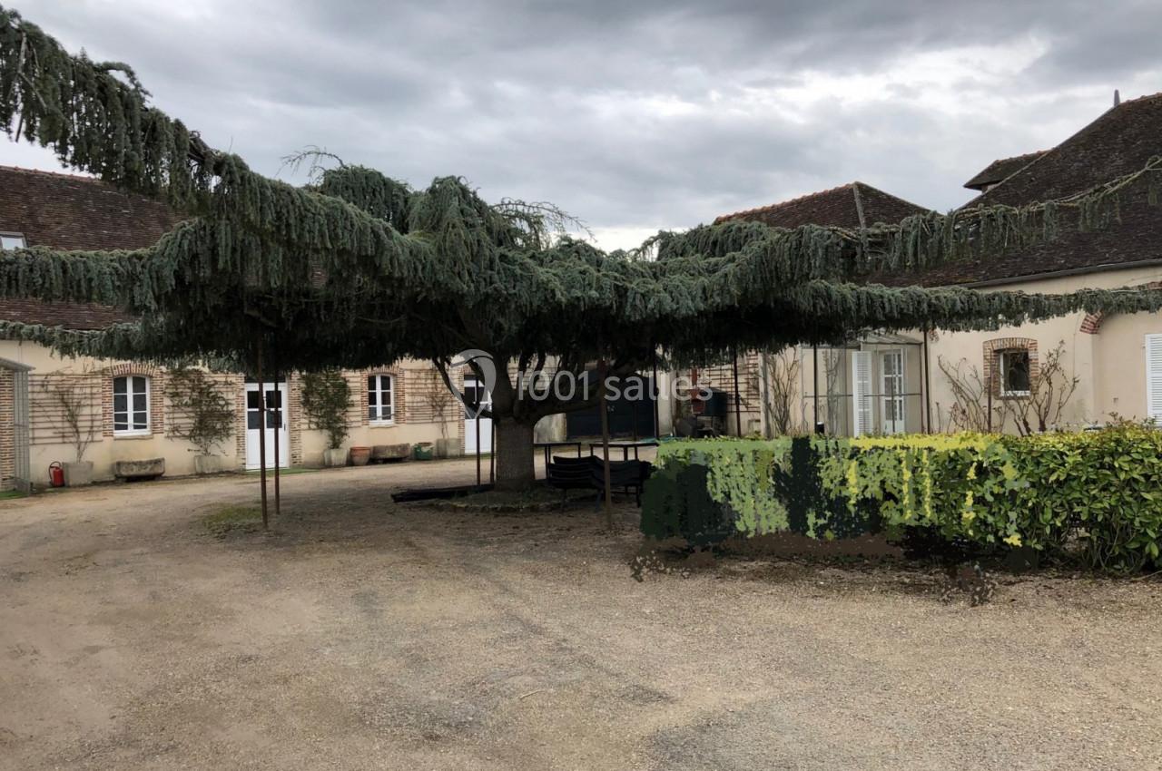 Cour avec un grand arbre aux branches étendues, entourée de bâtiments anciens sous un ciel nuageux.