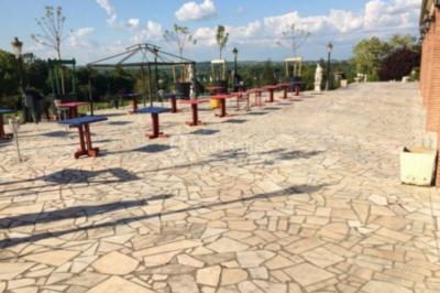 Parking extérieur avec plusieurs voitures stationnées, entouré d'arbres et offrant une vue dégagée sur l'horizon.