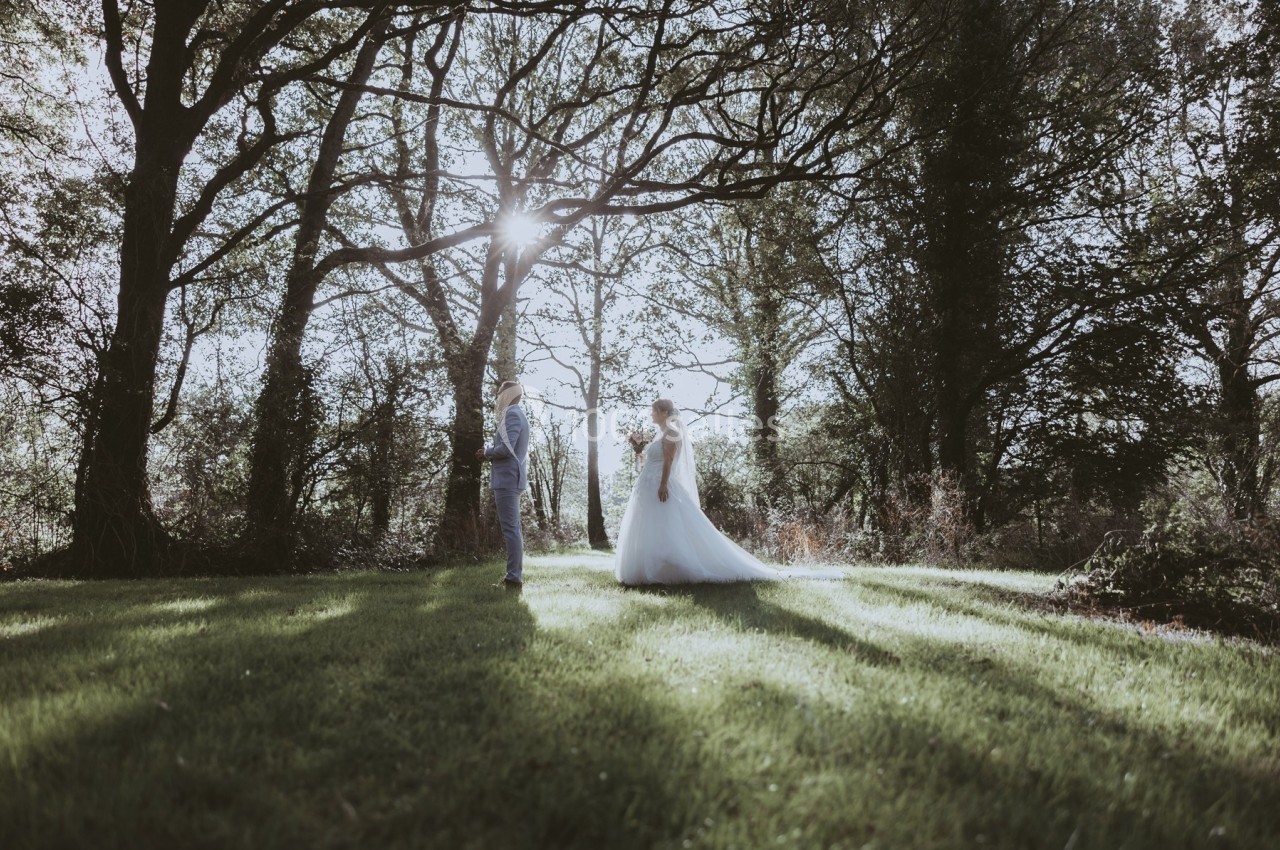 Un couple en tenue de mariage se tient dans une clairière ombragée entourée d'arbres, éclairée par la lumière du soleil.