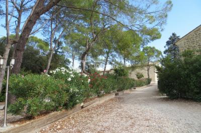 Miniature Location salle Sommières (Gard) - Domaine de Christin #23 Location salle Sommières (Gard) - Domaine de Christin #40