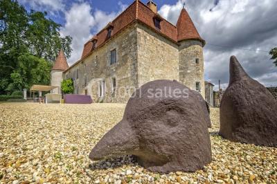 Miniature Location salle Pérignac (Charente) - Château De Lerse #7 Location salle Pérignac (Charente) - Château De Lerse #23