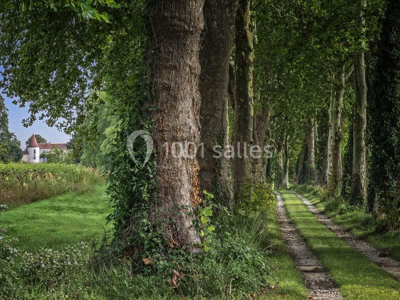 Location salle Pérignac (Charente) - Château de Lerse #24