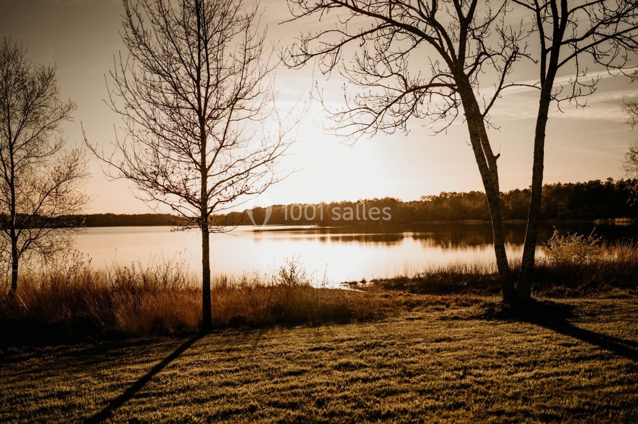 Paysage au coucher du soleil avec des arbres nus et un lac calme reflétant la lumière dorée.