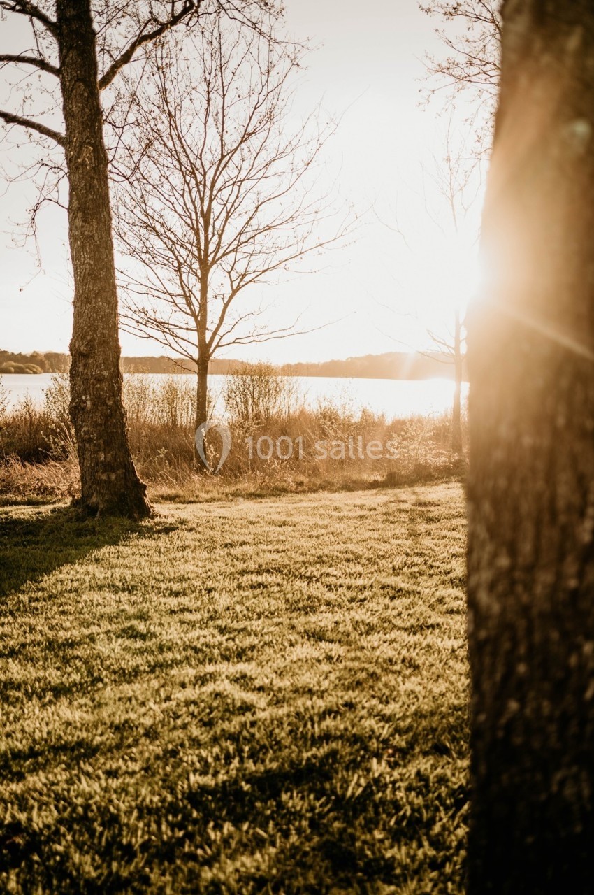 Paysage au coucher du soleil avec des arbres, une pelouse et un lac en arrière-plan.