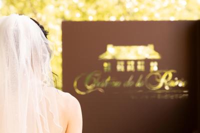 Location salle Pont-Saint-Martin (Loire-Atlantique) - Château De La Rairie #22