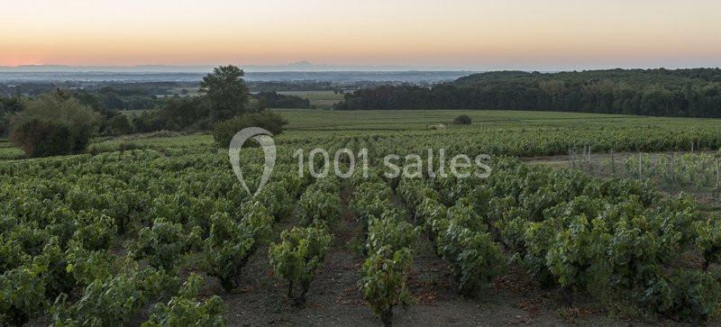 Location salle Villié-Morgon (Rhône) - Domaine Morgon La Javernière #16