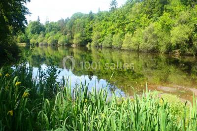 Location salle Orgères (Ille-et-Vilaine) - Le Haras du Reuzel #19