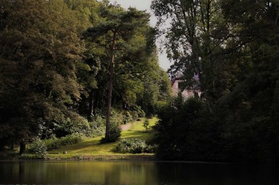 Vue d'un étang entouré d'arbres et de végétation dense, reflétant la lumière douce du matin.