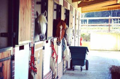 Location salle Saint-Launeuc (Côtes-d'Armor) - Ar Duen Domaine de la Hardouinais #15