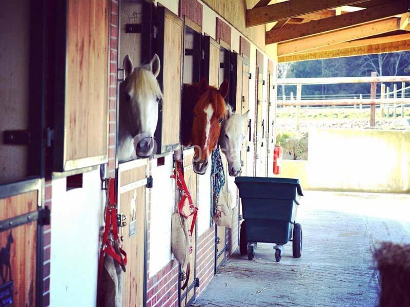 Location salle Saint-Launeuc (Côtes-d'Armor) - Ar Duen Domaine de la Hardouinais #14