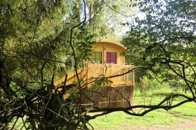 Location salle Tancrou (Seine-et-Marne) - Espace Nature Au Creux Du Chêne #10