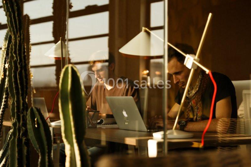 Deux personnes travaillent sur des ordinateurs portables dans un espace lumineux avec des cactus au premier plan.