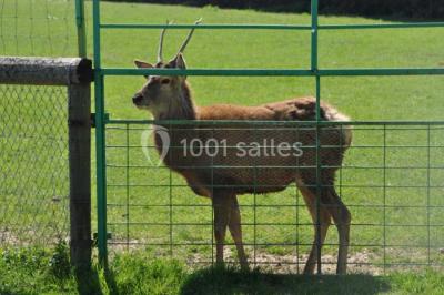 Location salle Miribel (Ain) - L'ecar Piste #24