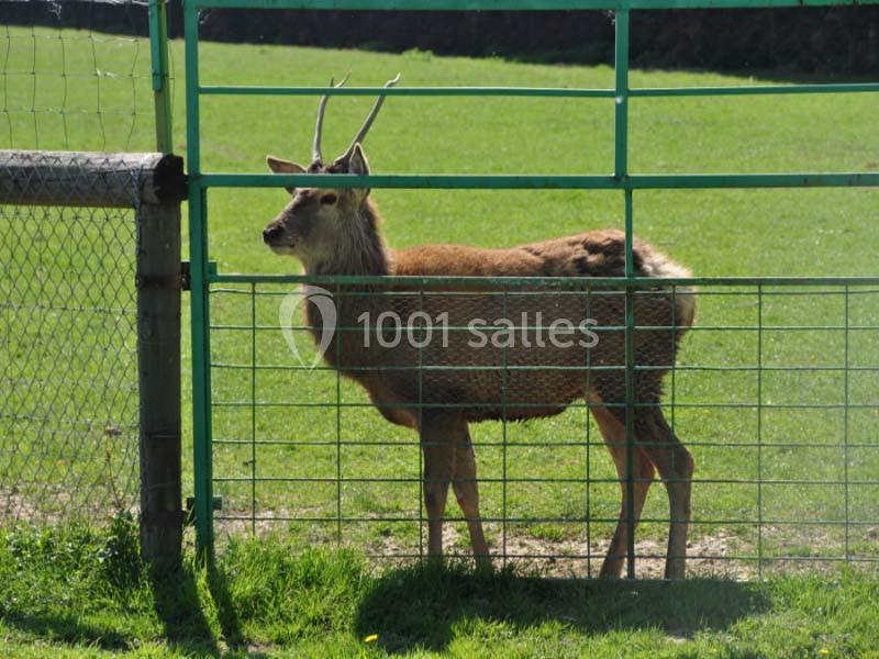 Location salle Miribel (Ain) - L'ecar Piste #18