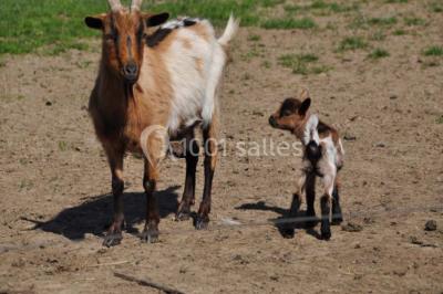 Location salle Miribel (Ain) - L'ecar Piste #24