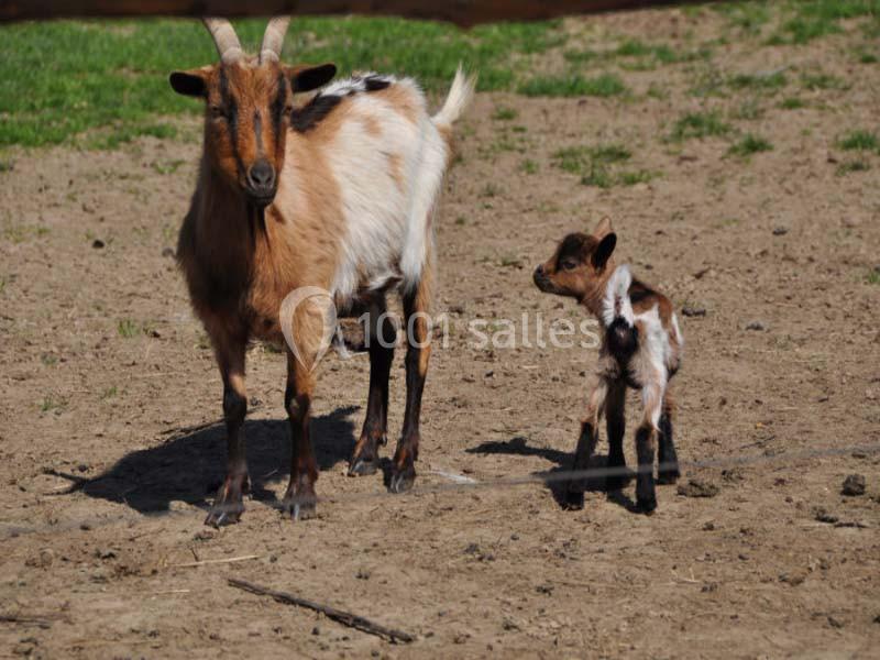 Location salle Miribel (Ain) - L'ecar Piste #19