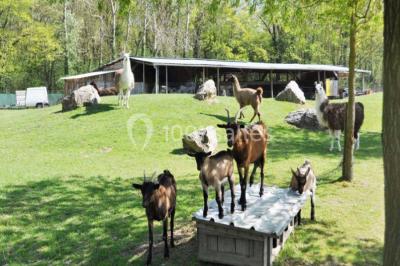 Location salle Miribel (Ain) - L'ecar Piste #24