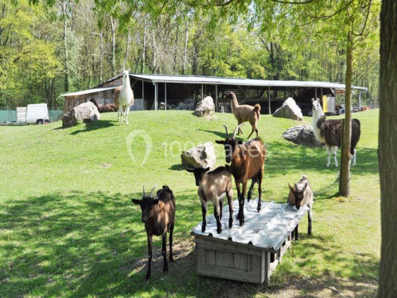 Location salle Miribel (Ain) - L'ecar Piste #21