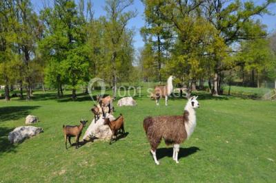 Location salle Miribel (Ain) - L'ecar Piste #24