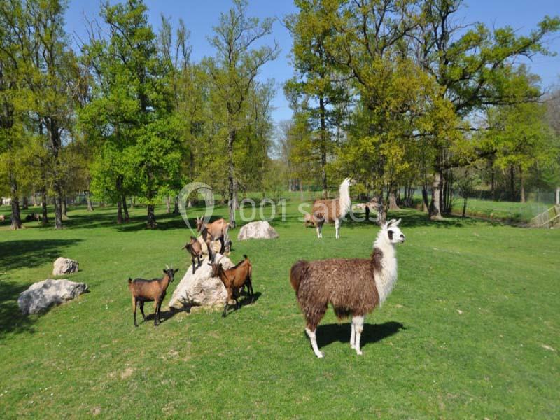 Location salle Miribel (Ain) - L'ecar Piste #20