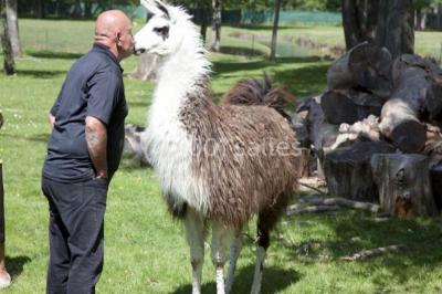 Location salle Miribel (Ain) - L'ecar Piste #24