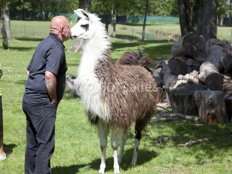 Location salle Miribel (Ain) - L'ecar Piste #23