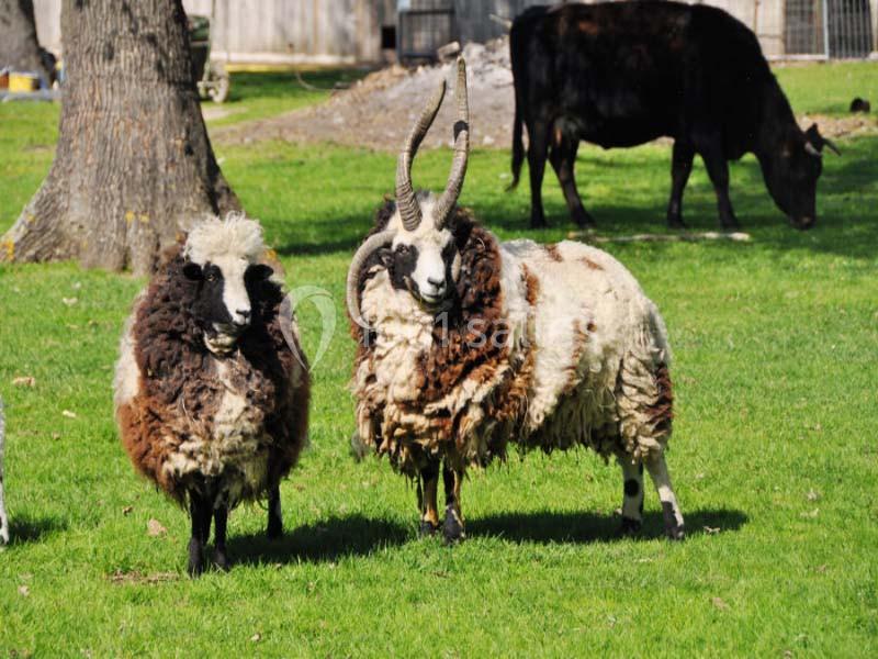 Location salle Miribel (Ain) - L'ecar Piste #22