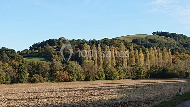 Champ labouré au premier plan, rangée d'arbres et collines boisées sous un ciel partiellement dégagé.