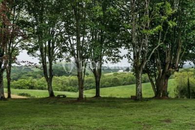 Chambre lumineuse avec poutres apparentes, lit double, commode en bois et fenêtres donnant sur l'extérieur.
