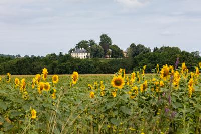 Chambre lumineuse avec poutres apparentes, lit double, commode en bois et fenêtres donnant sur l'extérieur.