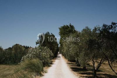 Location salle Tarascon (Bouches-du-Rhône) - Mas d'Arvieux #41
