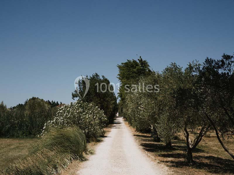 Location salle Tarascon (Bouches-du-Rhône) - Mas d'Arvieux #26