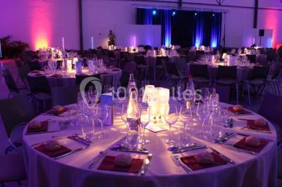 Entrée vitrée illuminée avec des plantes en pot disposées en rangées et éclairage coloré.