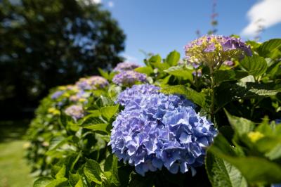 Location salle Geüs-d'Oloron (Pyrénées-Atlantiques) - Chez Germaine #21