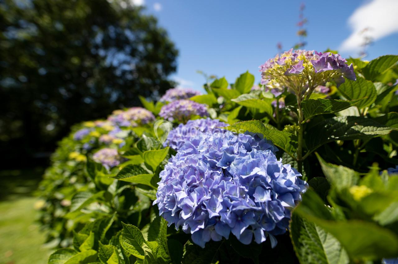 Location salle Geüs-d'Oloron (Pyrénées-Atlantiques) - Chez Germaine #21