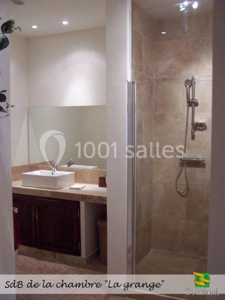 Salle de bain avec douche à l'italienne, vasque sur meuble en bois et grand miroir, éclairage encastré au plafond.