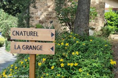 Table en bois décorée pour un repas festif, avec bougies, fleurs et vaisselle, dans une salle aux murs en pierre.