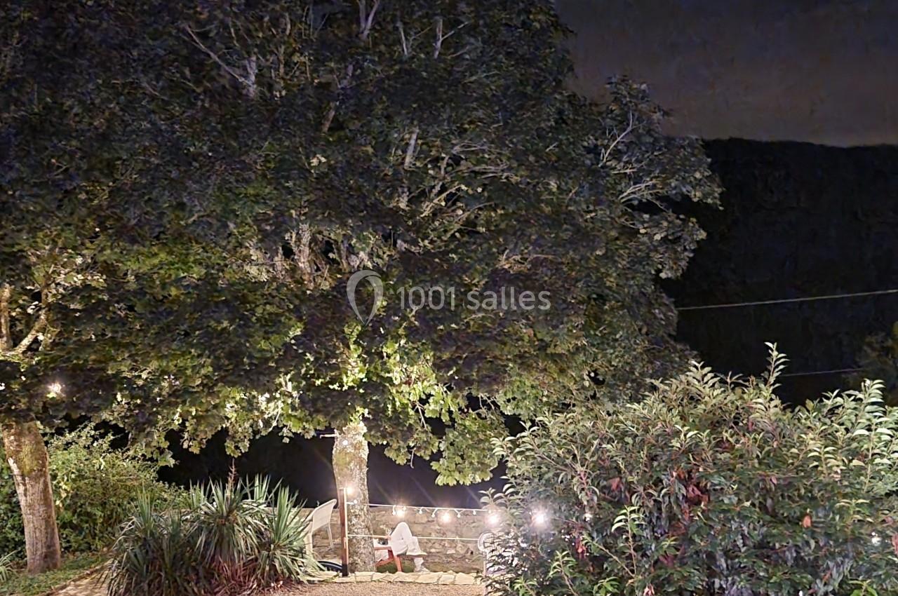 Arbre illuminé par des guirlandes lumineuses dans un jardin nocturne avec des buissons au premier plan.