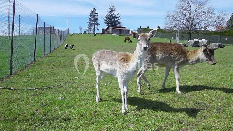 Location salle Violay (Loire) - Espace Violay 1004 #12