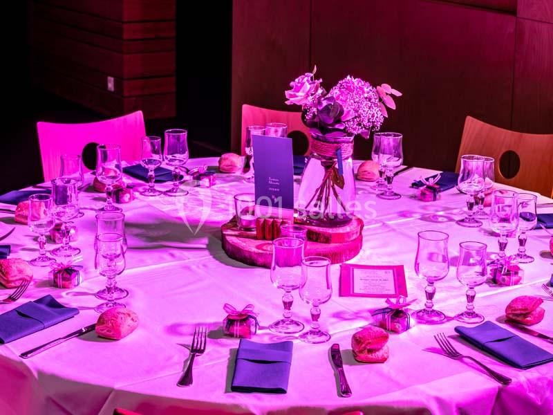 Location salle Violay (Loire) - Espace Violay 1004 #3