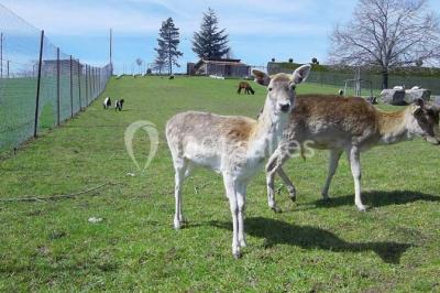 Location salle Violay (Loire) - Espace Violay 1004 #24