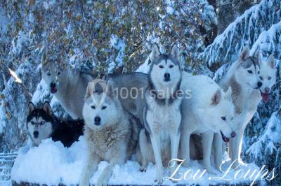 Location salle Violay (Loire) - Espace Violay 1004 #24