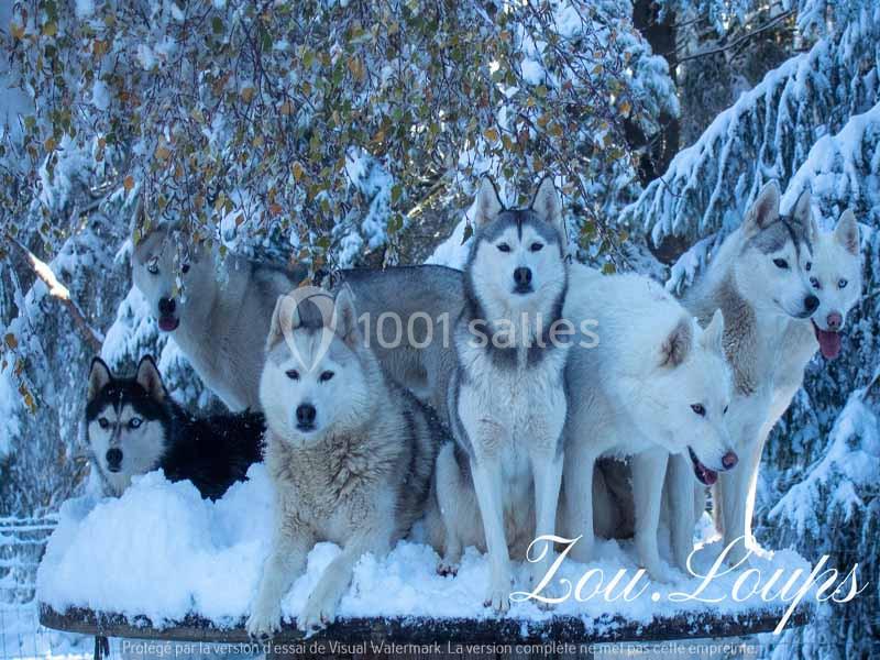 Location salle Violay (Loire) - Espace Violay 1004 #18