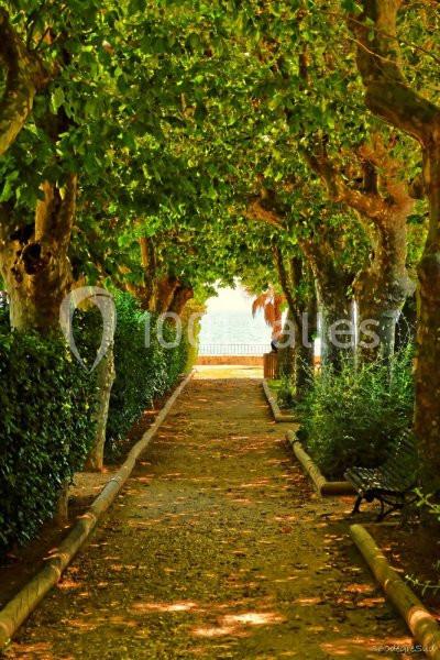 Location salle La Seyne-sur-Mer (Var) - Le Poséidon #3