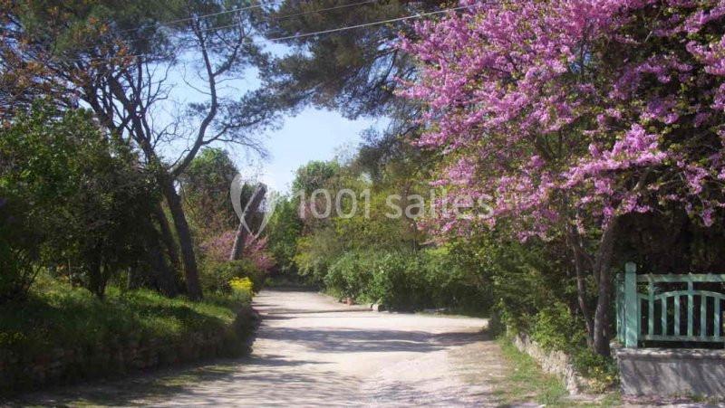 Location salle Cabriès (Bouches-du-Rhône) - La Guérine #2