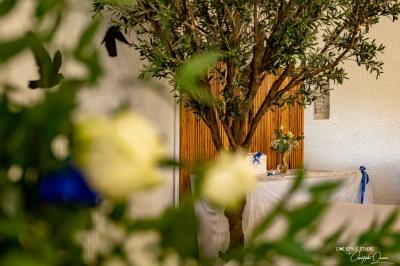 Location salle Cabriès (Bouches-du-Rhône) - La Guérine #23