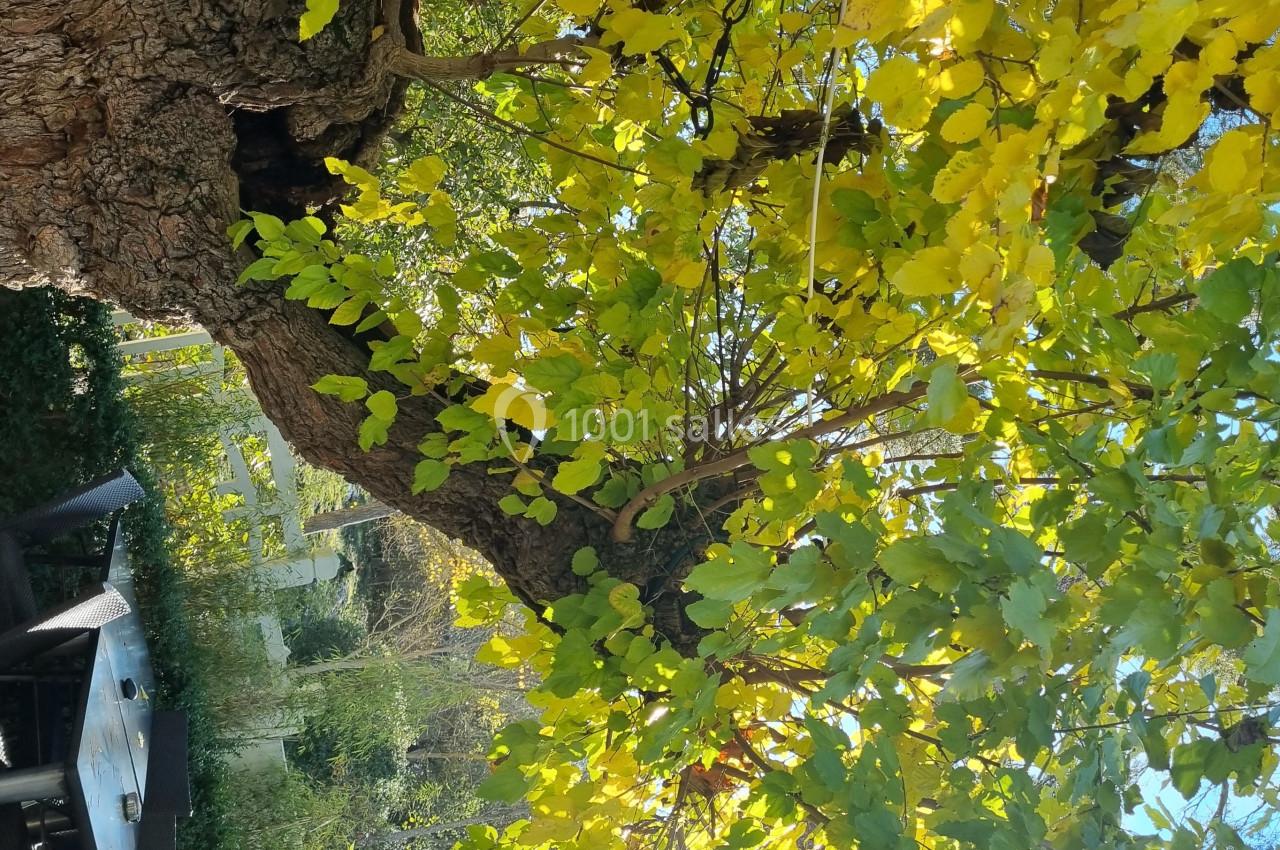 Location salle Cabriès (Bouches-du-Rhône) - La Guérine #18