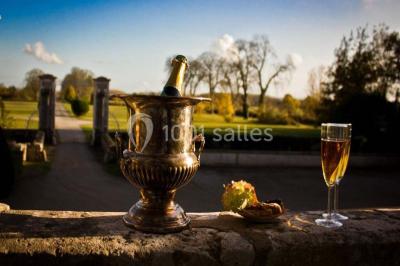 Location salle Saint-Herblon (Loire-Atlantique) - Château de Vair #23