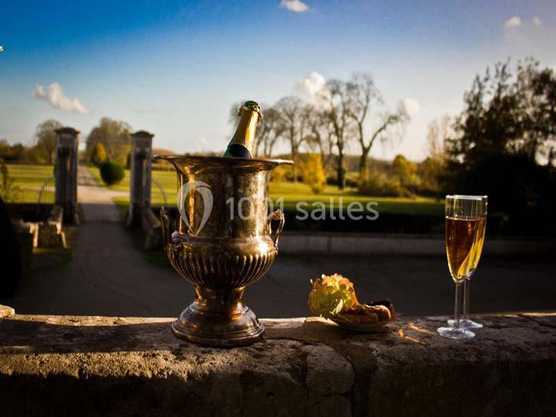 Location salle Saint-Herblon (Loire-Atlantique) - Château de Vair #4